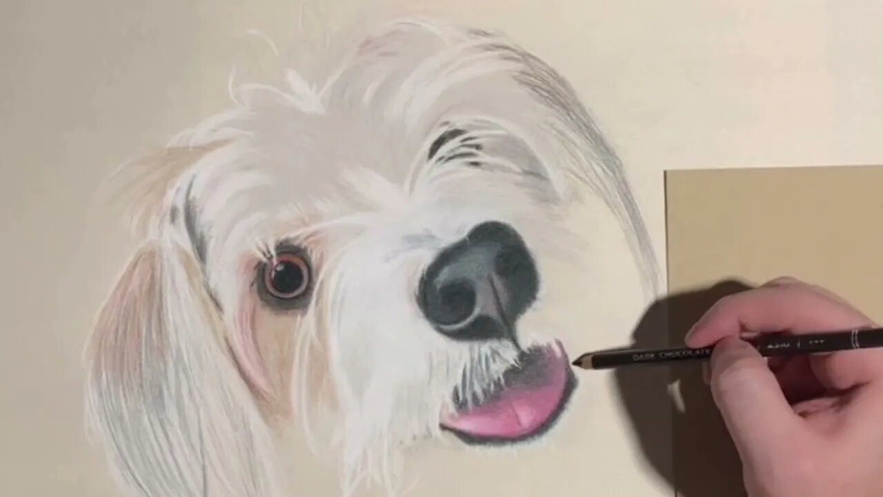 Drawing My Dog Charlie