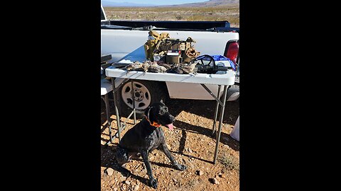 Arizona Quail Hunt Full Season 2023