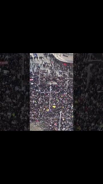 #WeWillAllBeThere Freedom Rally 3.0 (Sydney Australia)