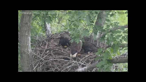 Hays Eagles Dad brings in a big fish H13 H14 H15 steal 2021 05 23 10:58AM