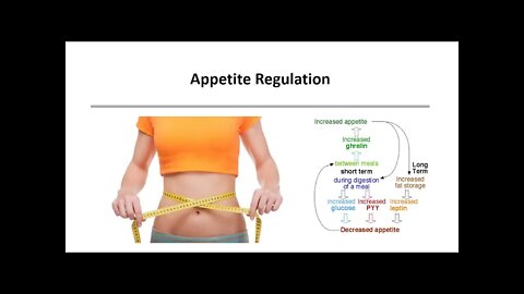 Weight Management 7 - Appetite Regulation