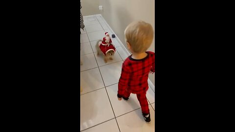 Santa puppy and Funny Toddler