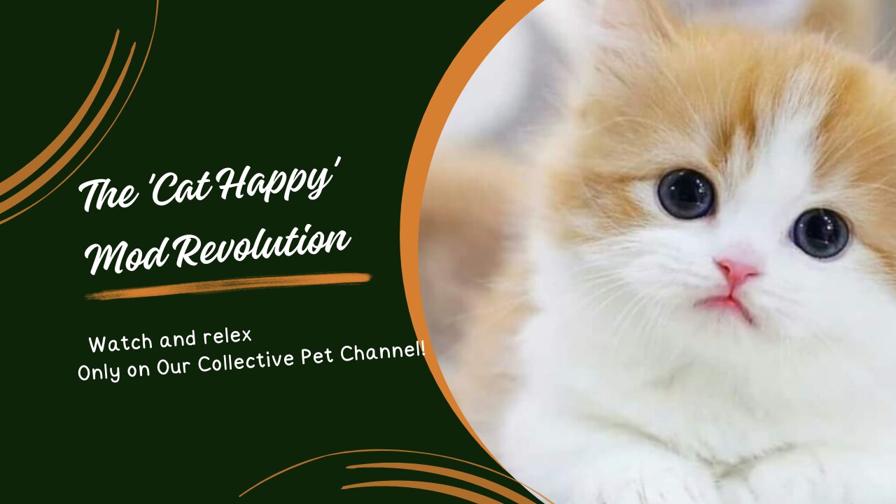 The 'Cat Happy' Mod Revolution"