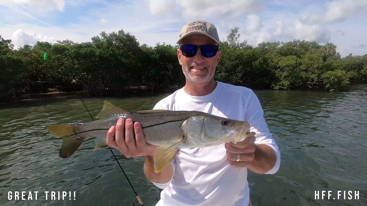 Early Summer Snook Fishing Highlights (BONUS BLACKTIP SHARK)