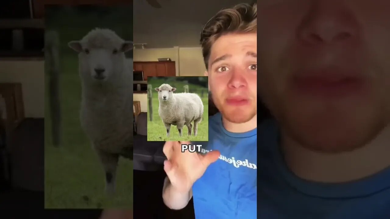 TRUE STORY IRL MIRACLE PROOF OF GOD