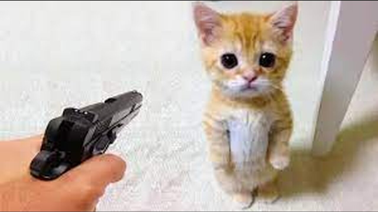 Funniest Animals 2023 π Funny Dogs and Cats Videos πΊπΆ