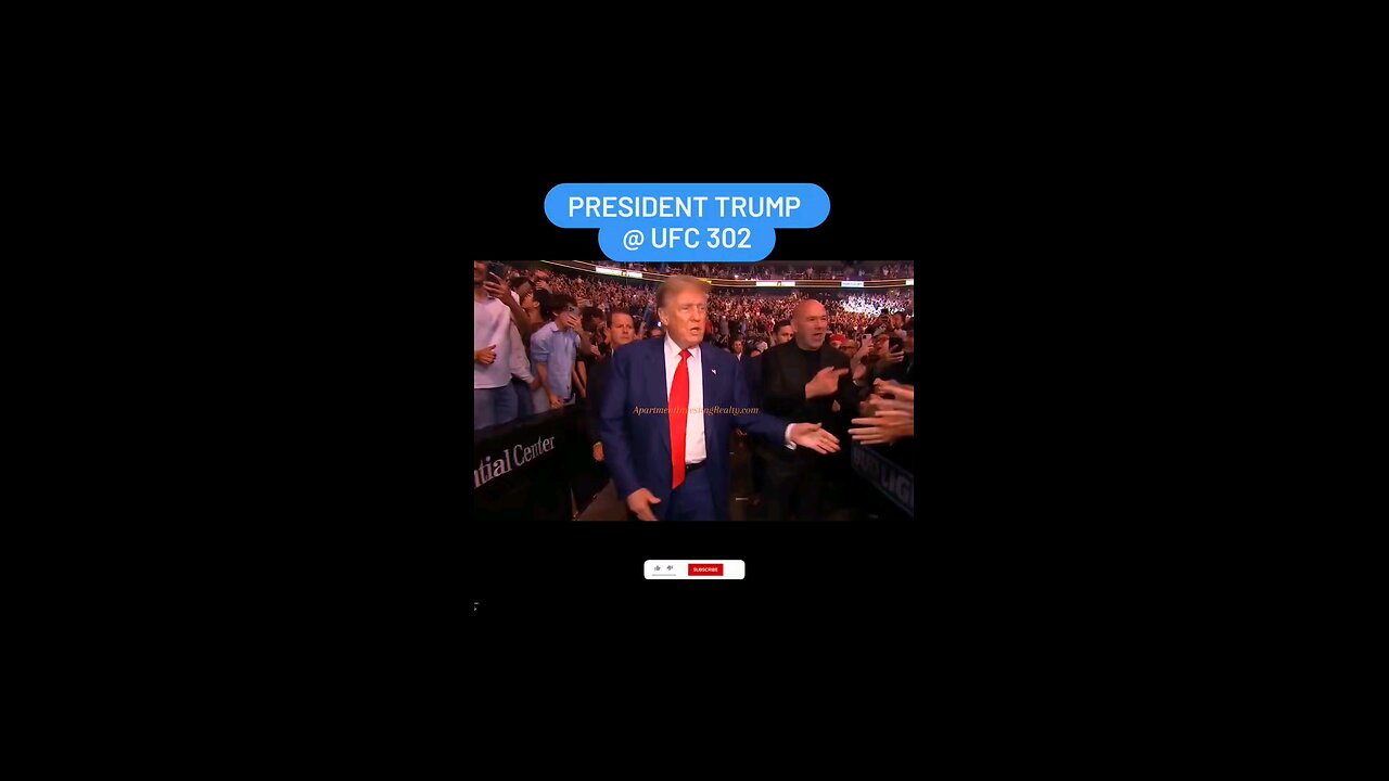 President Donald Trump at UFC302