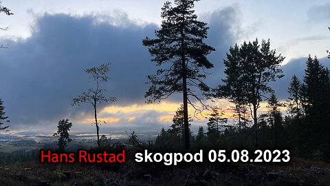 Skogpod 05. august 2023