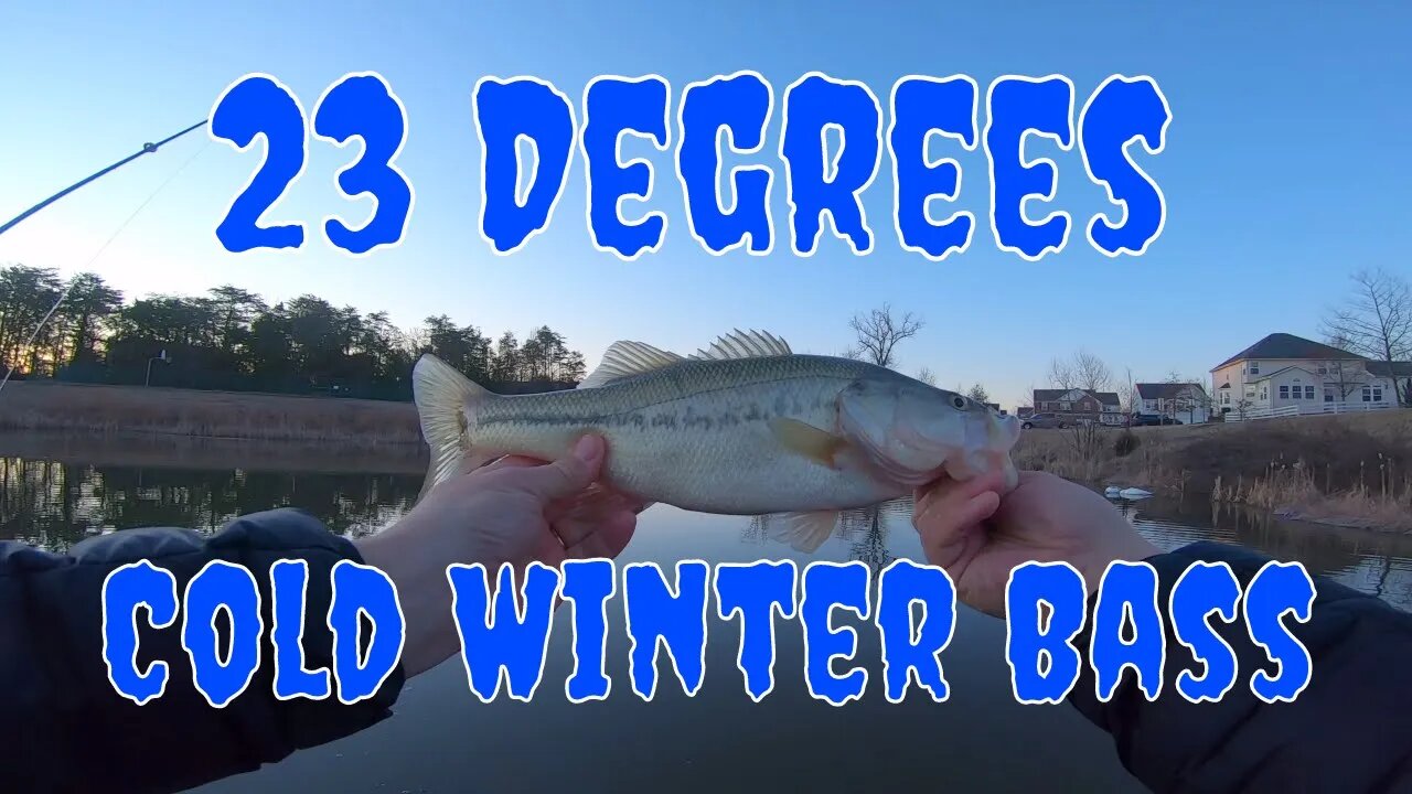 Cold Weather Fatty/Fishing in 23 degrees/Swimbaits/Bass Fishing