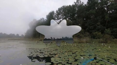 Spraying the lily pads in the farm pond