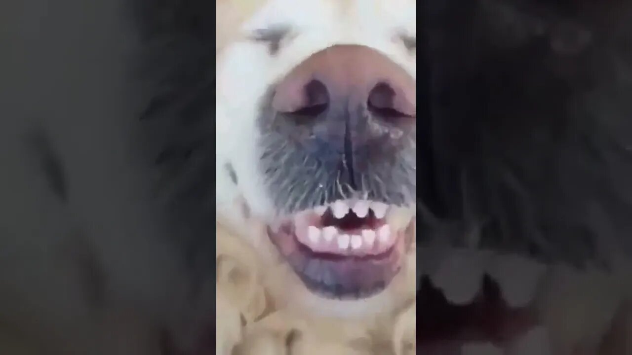 é medo que fala? #shorts