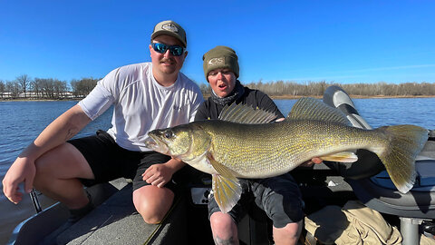 Catching Massive Rainy River Walleye!