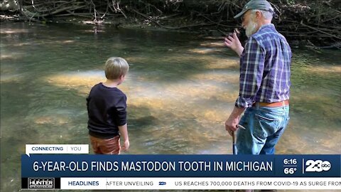 Michigan boy finds mastodon tooth during hike