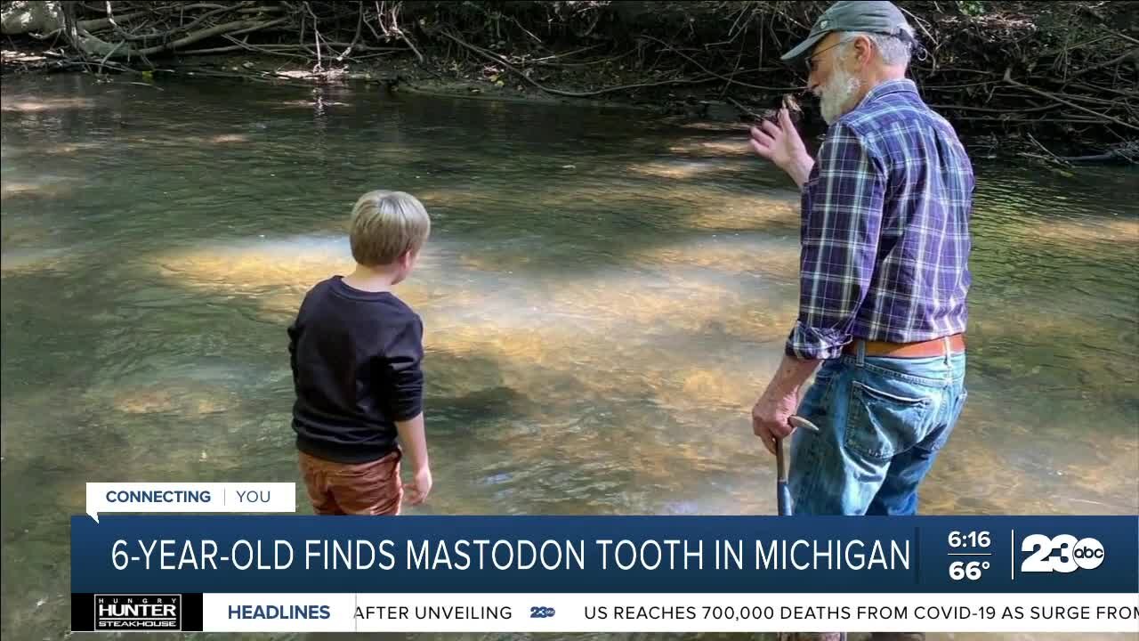 Michigan boy finds mastodon tooth during hike