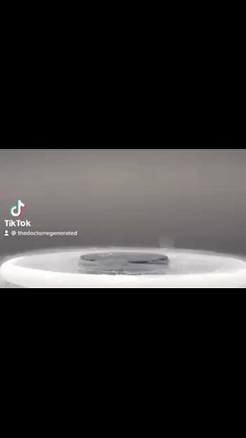 The magnetic levitation of a liquid nitrogen magnet