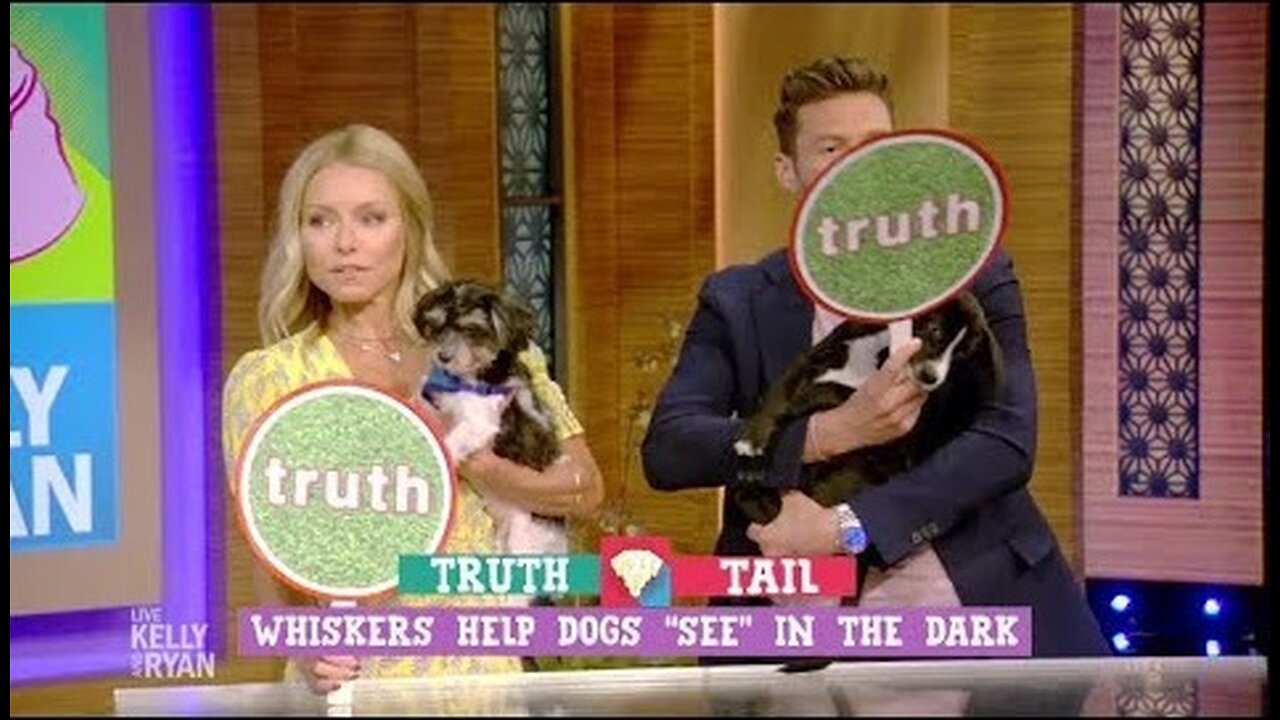 Truth or Tail with Bernadette Peters