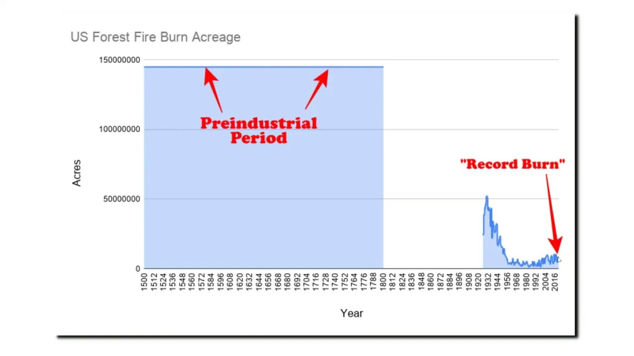 "Record Forest Fires"