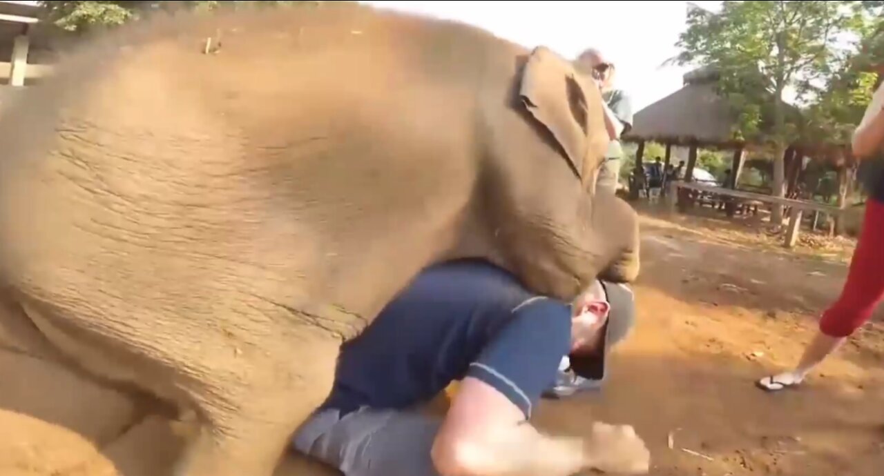 This elephant baby is playing with this boy Beautiful Moment