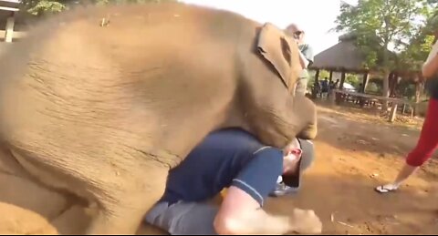 This elephant baby is playing with this boy Beautiful Moment