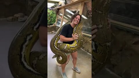 Be careful or that snake 🐍 will swallow you up