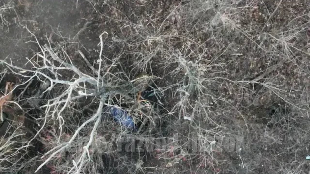 🇷🇺🇺🇦 Throwing grenades from a quadcopter onto Ukrainian servicemen in the Kupyansk direction.