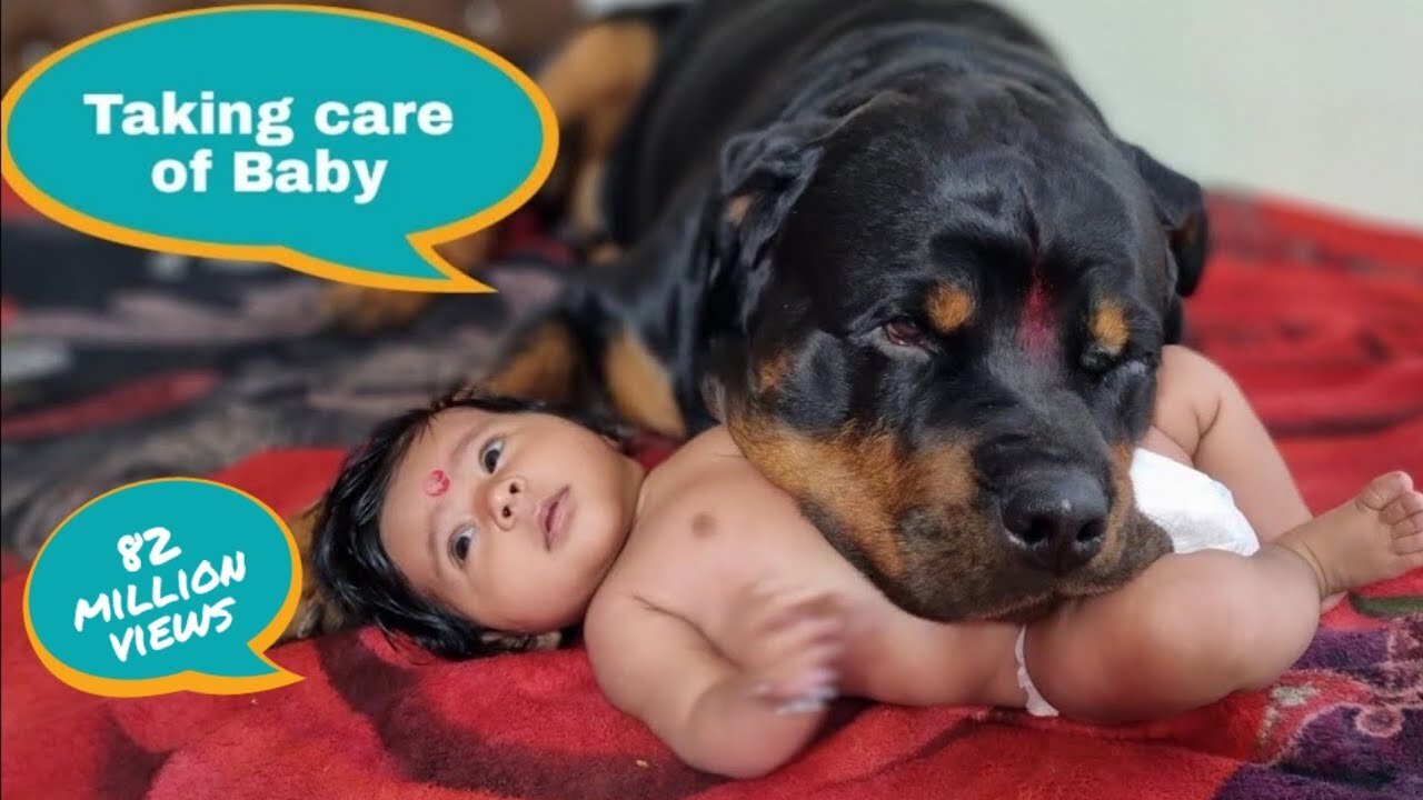 Jerry and Aaru are made for each other | Dog protecting baby | earn money online