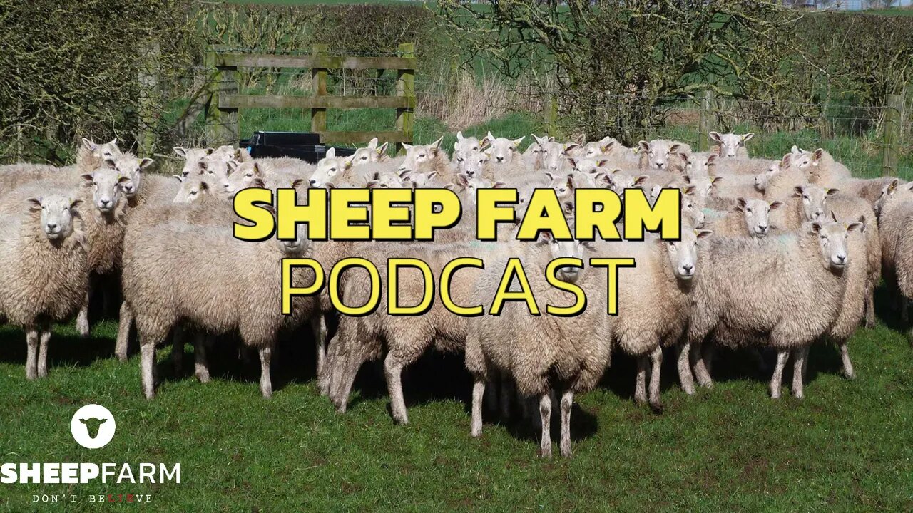 Sheep Farm 14 | Podcast | Jerry Marzinsky | The Psychotic Mind Breaking The Spell Of the Ivory Tower