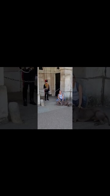 She's poses with her dog #horseguardsparade