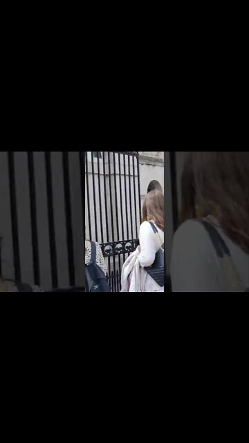 Police armed guards at Horse Guards parade #horseguardsparade
