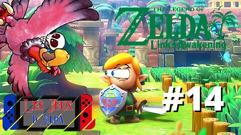 LE MAGICIEN AUX MILLES ET UNE MOUCHES - Let's Play : Link's Awakening part 14