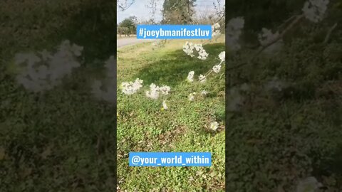 Please be positive to each other! Everyday! Please! #joeybmanifestluv #positivevibes #positive