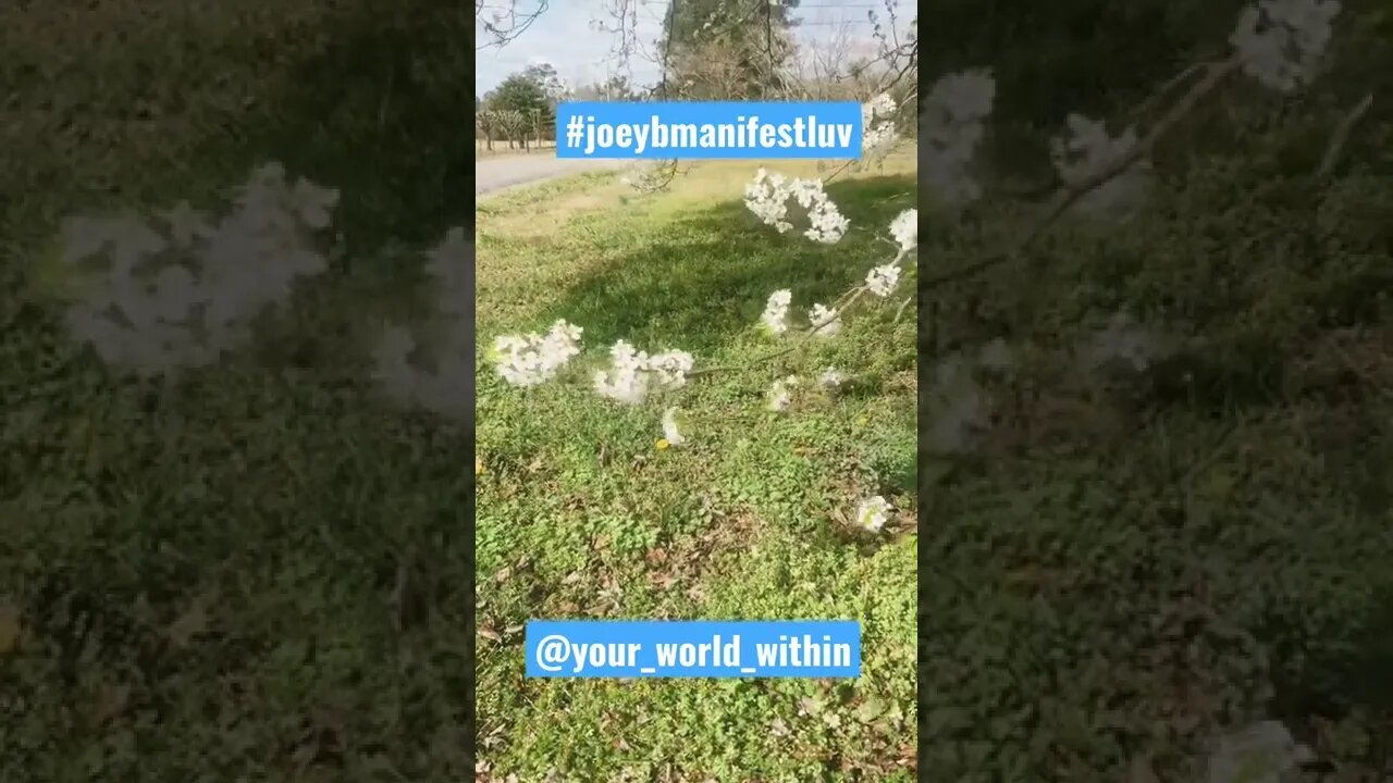 Please be positive to each other! Everyday! Please! #joeybmanifestluv #positivevibes #positive