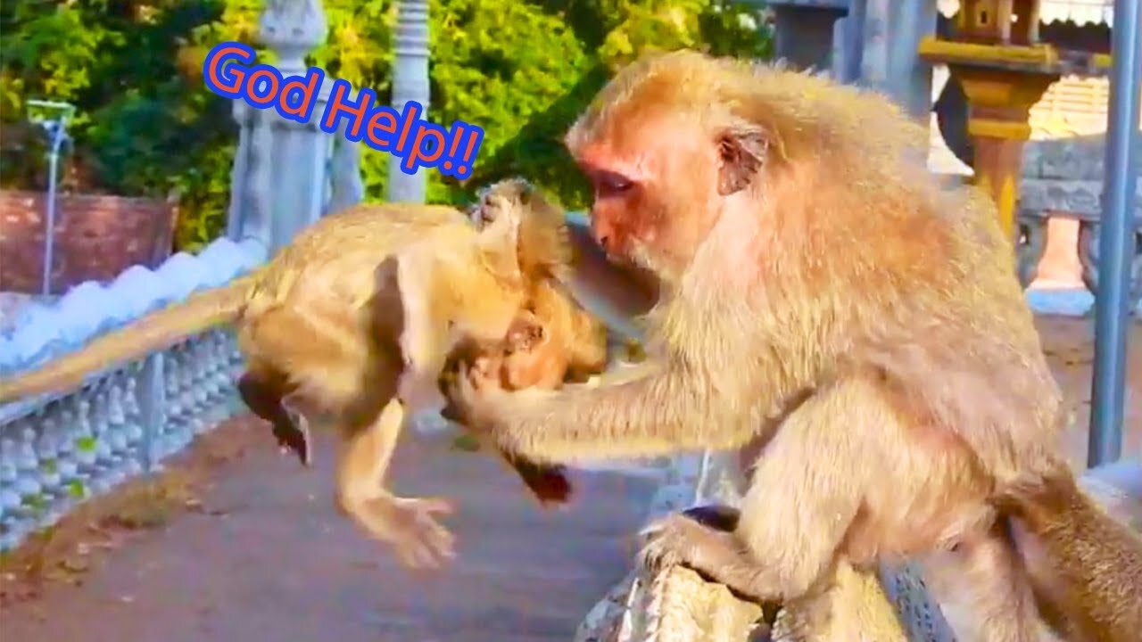 Top New Special Video Which You Never Seen 2023