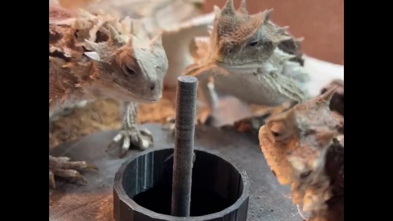 Mini Godzillas Unleashed: Lizard Buffet Extravaganza