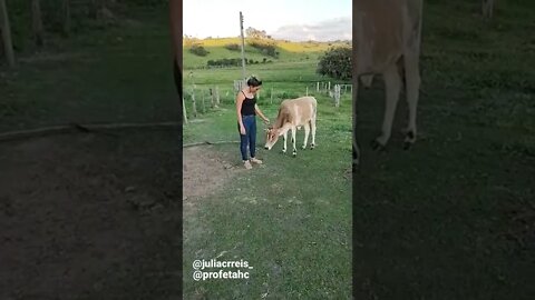 Primeiro dia na Fazenda ( Haras e Confinamento Profeta )