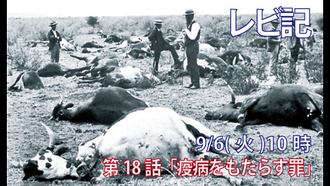 ｢疫病をもたらす罪｣(レビ5.2-3)みことば福音教会2022.9.6(火)