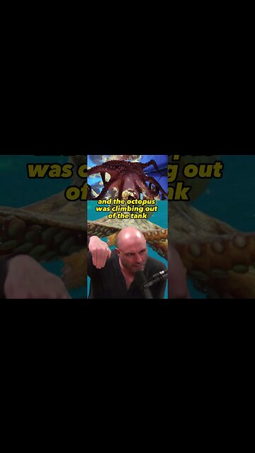 The Mind-Blowing Intelligence of Octopuses | Joe Rogan Experience with Roger Penrose #animals