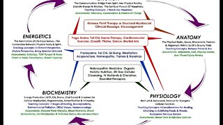 Energetic Health - What Does Holistic Mean? - by Dr H