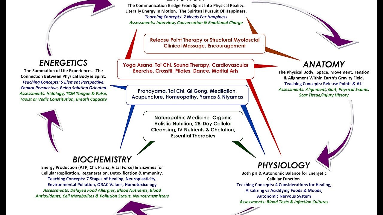 Energetic Health - What Does Holistic Mean? - by Dr H