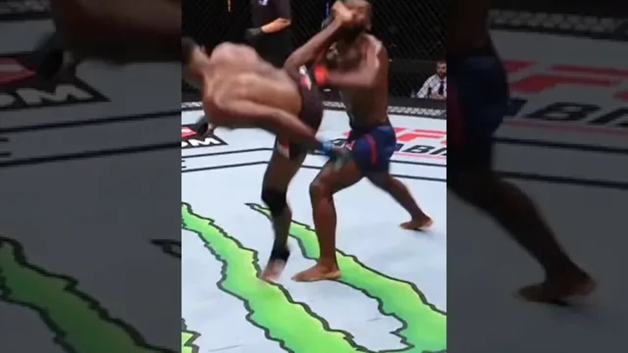 Flying Kick To The Face UFC