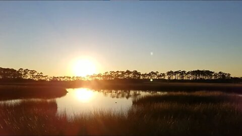 The Florida Trail at St Marks NWS Afternoon to Sunset Facing South - Fall 2021