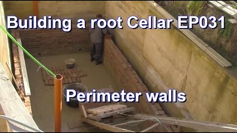 Building a root Cellar EP031 - Building perimeter wall