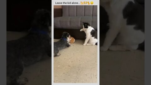 Leave the kid alone...🐕🐹🐈😏😅