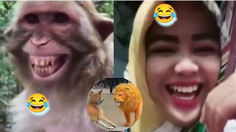 Fake Tiger and Lion Prank with Dogs | Funny Dog Prank | Funniest Prank Ever