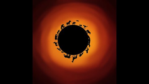 The Circle ⭕ of Life...