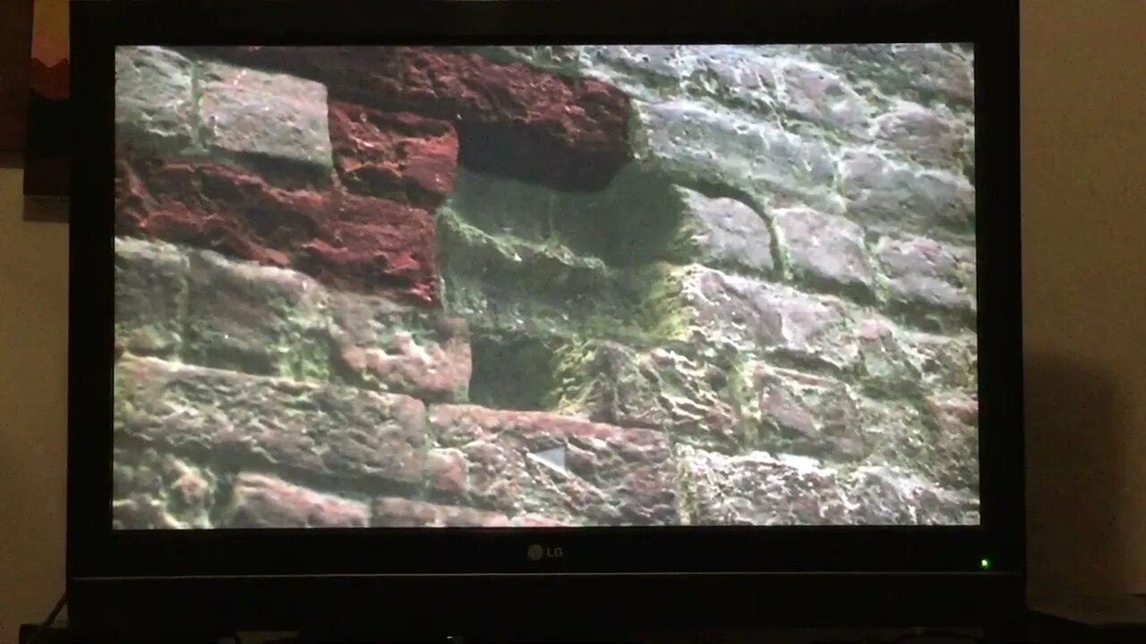 Harry Potter 1 Disc 2 Brick Wall (3 Correct, Row 1 Brick 2)