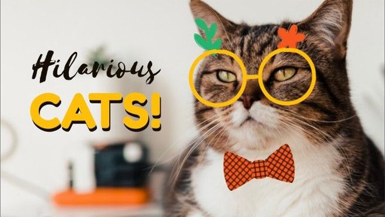 New Funny Videos 2023 😍 Cutest Cats and Dogs 🐱🐶