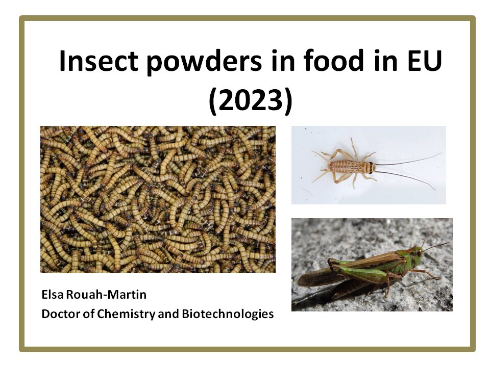 Insect powders authorized in food in EU in 2023