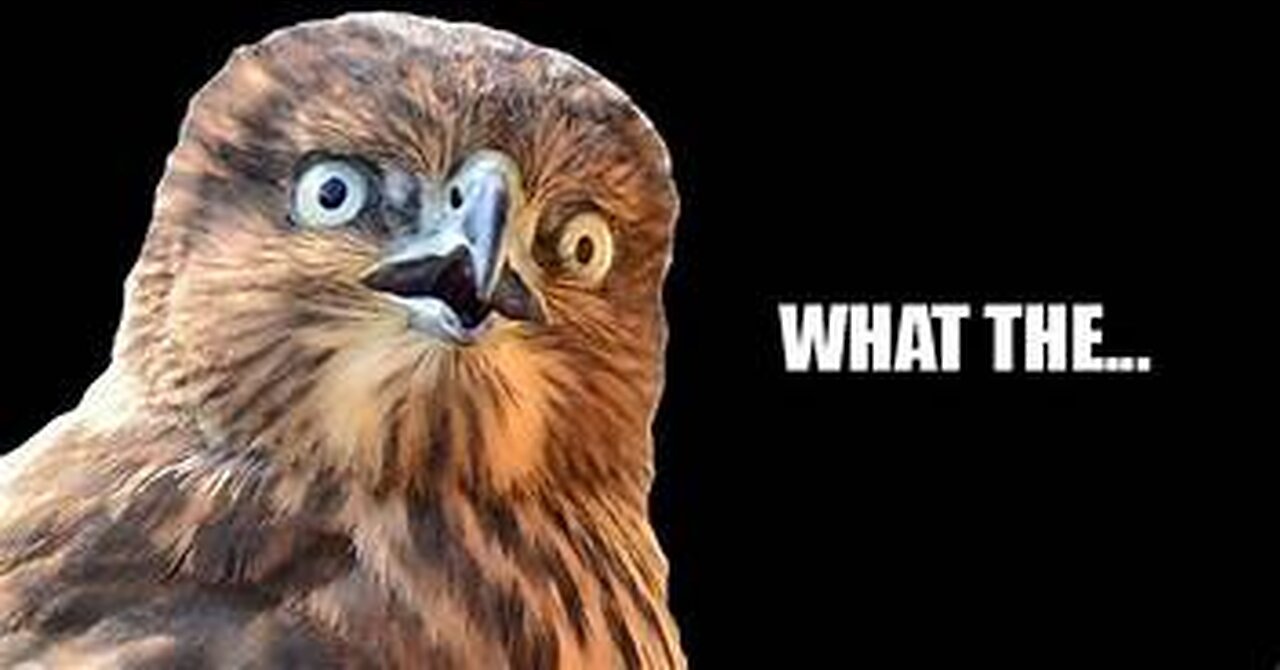 CLEANING OUT THE CLOSET AGAIN