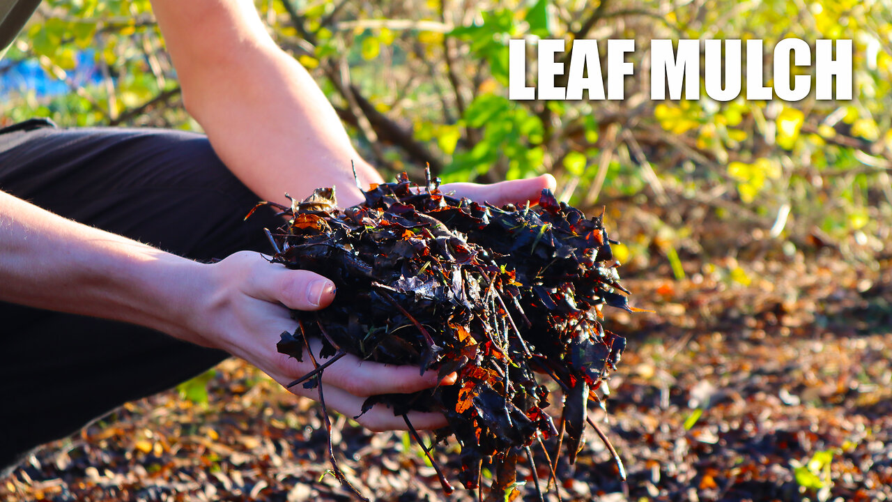 How to Prepare Your Garden Beds for Winter | Using a FREE Resource from Nature